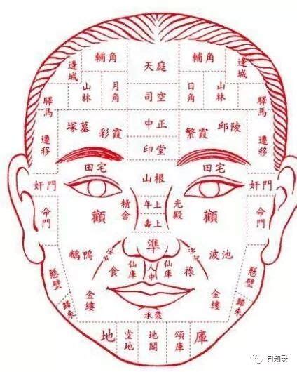 龍眼面相男|面相：龙眼必定超群，牛眼也是富贵！（附龙眼故事一。